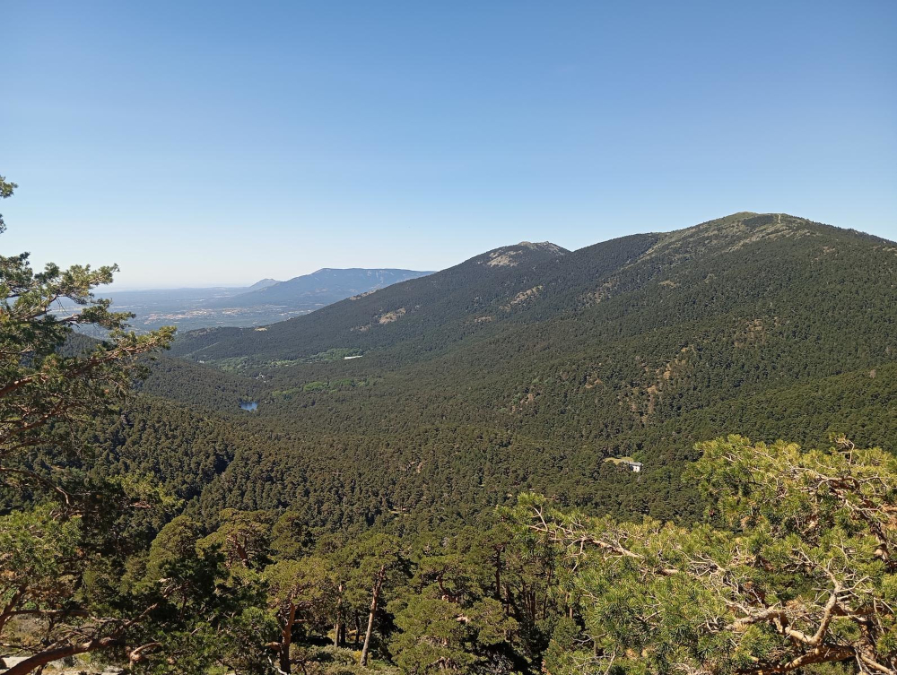 Paisaje de montaña en Navacerrada con bosques y vistas panorámicas