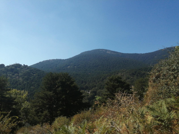 Paisaje de montaña con bosque en Cercedilla