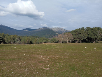 Pradera con árboles y montañas en Cercedilla