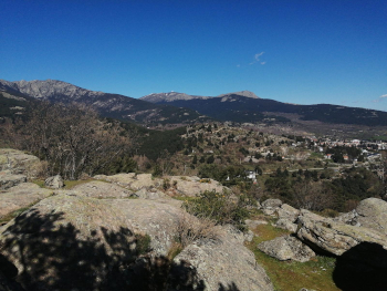 Bosque y montañas en Cercedilla