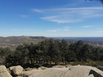 Pradera y bosque en Cercedilla