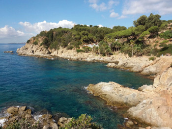 acantilado con rocas y vegetacion en Lloret de Mar