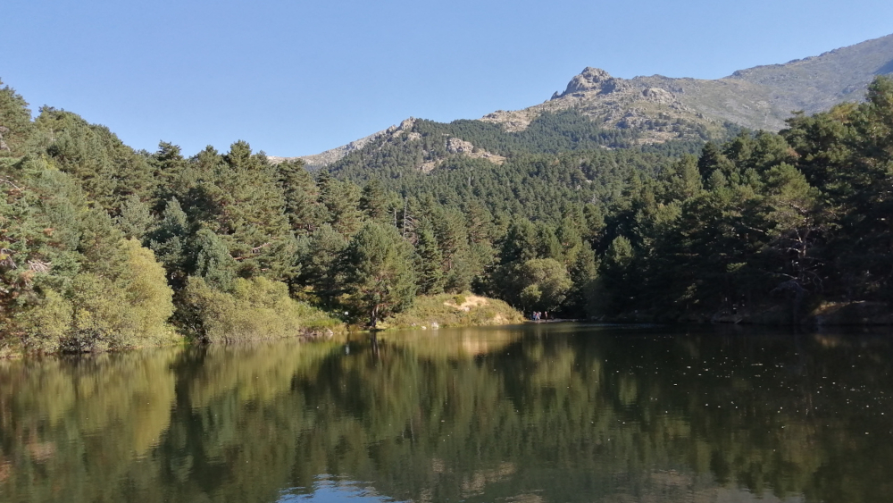 lago de La Barranca en Navacerrada rodeado de bosque y montañas