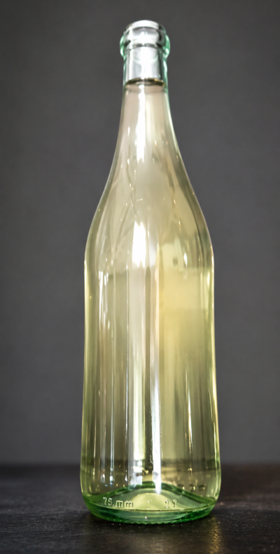 Botella de vino y copa sobre fondo neutro, imagen representativa del enoturismo en España